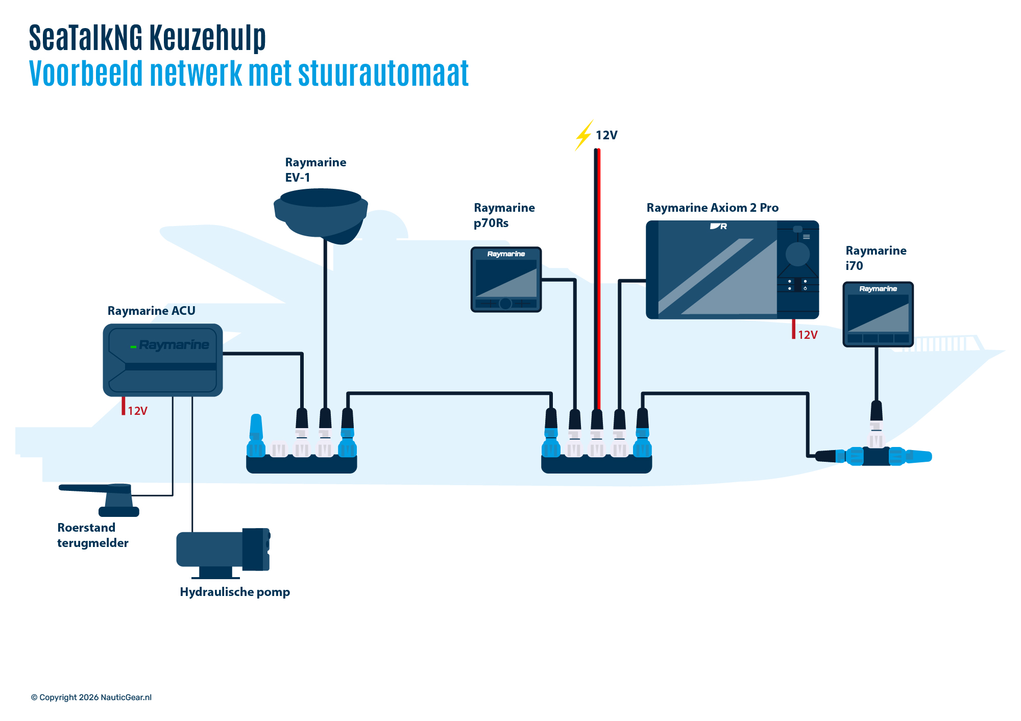 Schema's Raymarine SeaTalkNG en RayNet netwerken
