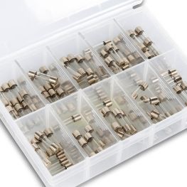 100 stuks traag zekeringen set