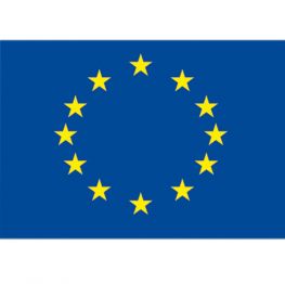 Europese Unie Vlag voor de Boot