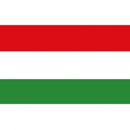 Hongaarse Vlag voor de Boot