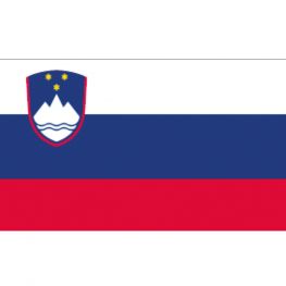 Sloveense Vlag voor de Boot