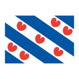 Friese Vlag voor de boot