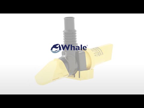 Hoe de de Whale Supersub op plekken past waar andere boilgepompen dat niet doen